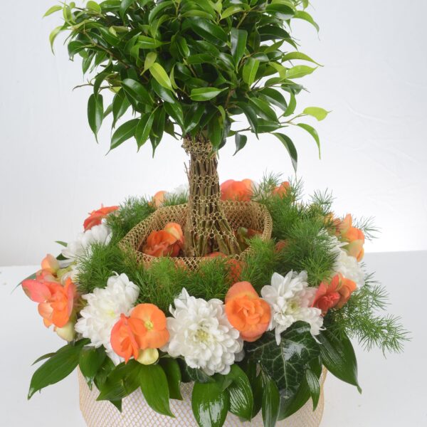 cvetni aranzman, cvecara beograd, dostava cveca, isporuka cveca, poklon