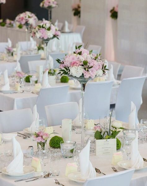 Ruže, lizijantus, kermit