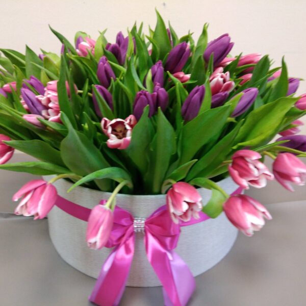 83 lale u plišanoj kutiji. Aranžman br. 135