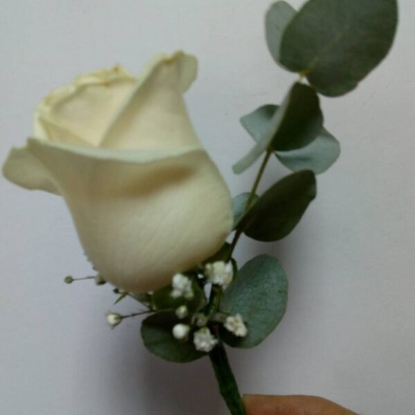 cvetni aranzman, cvecara beograd, dostava cveca, isporuka cveca, poklon