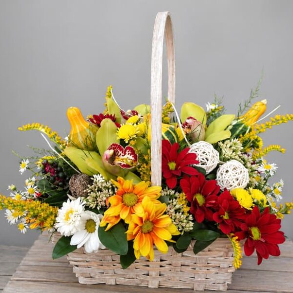 cvetna korpa sa orhidejama dostava Beograd