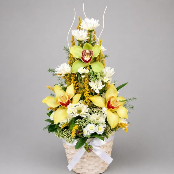 korpa sa orhidejama dostava Beograd