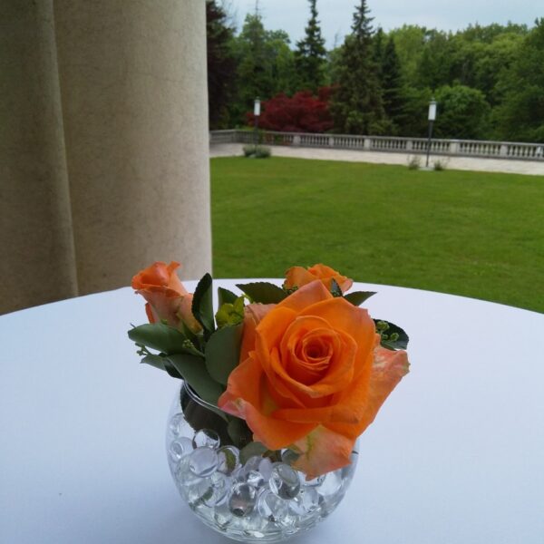 cvetni aranzman, cvecara beograd, dostava cveca, isporuka cveca, poklon