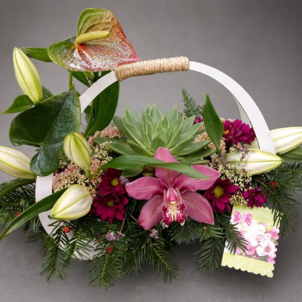 moderan cvetni aranžman sa orhidejom ljiljanima i sukulentom u korpi