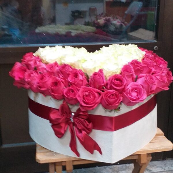 101 ruža srce bela i ciklama u boksu dostava Beograd