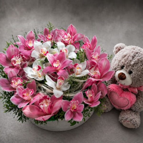 aranžman orhideja sa plišanim medom u dekorativnom boksu