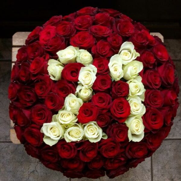 101 ruža broj 21 crvene i bele ruže dostava Beograd