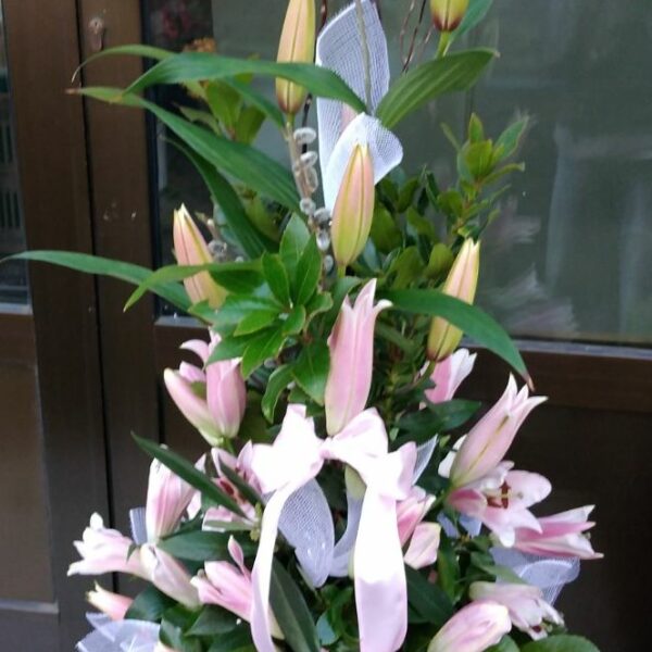 Aranžman br. 211 (orijentalni ljiljan, visina oko 1m)