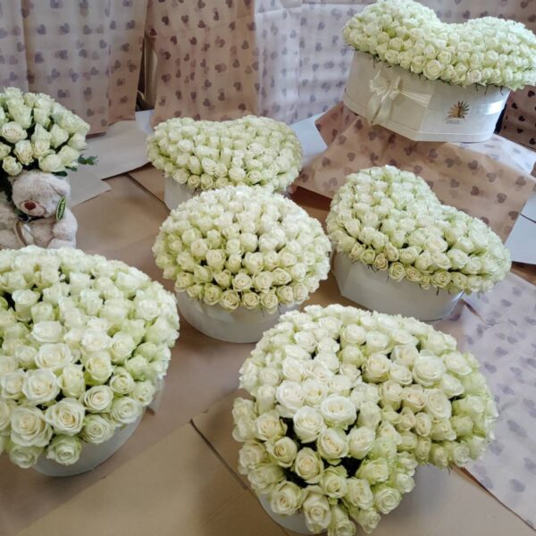 750 belih ruža luksuzni aranžmani dostava Srbija