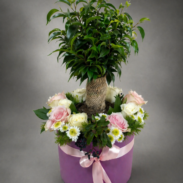 aranžman sa saksijskom biljkom i roze belim cvećem u kutiji