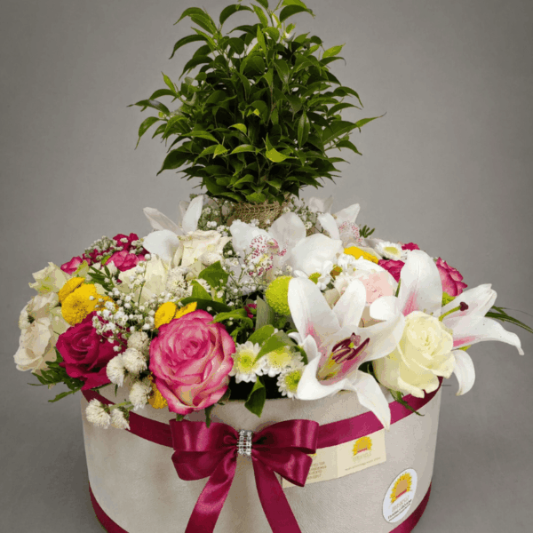 luksuzni aranžman sa saksijskom biljkom i ružama u kutiji