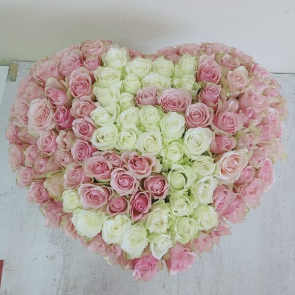 101 ruža u obliku srca sa brojem 5 roze i bele ruže