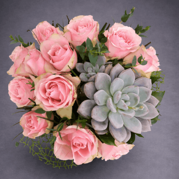 flower box sa roze ružama i sukulentom u modernoj dekorativnoj kutiji