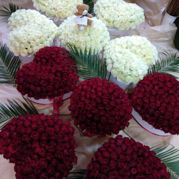 1001 ruža u obliku srca dostava Srbija crvene i bele ruže