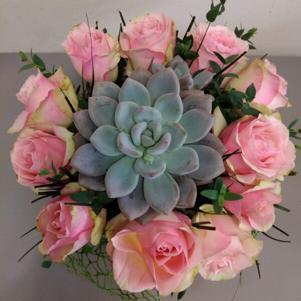 Cvetni aranžman roze ruže u boksu sa sukulentom u saksiji. Aranžman br. 276