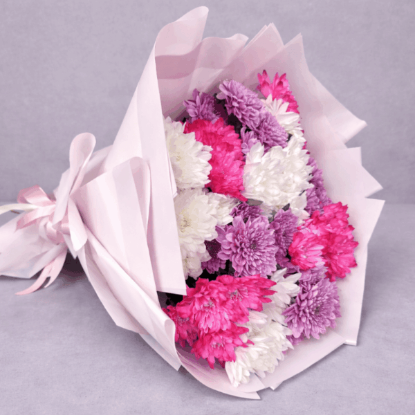 buket hrizantema roze beli ljubicast dostava Beograd