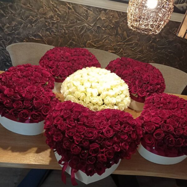 601 ruža luksuzni aranžman dostava Srbija veliki buket ruža