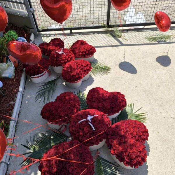 1001 ruža dostava Srbija aranžman u obliku srca