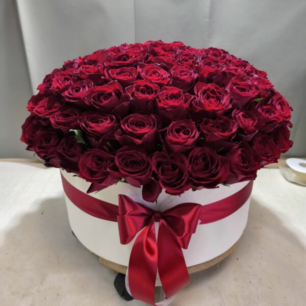 101 crvena ruža u okruglom belom boksu sa crvenom mašnom