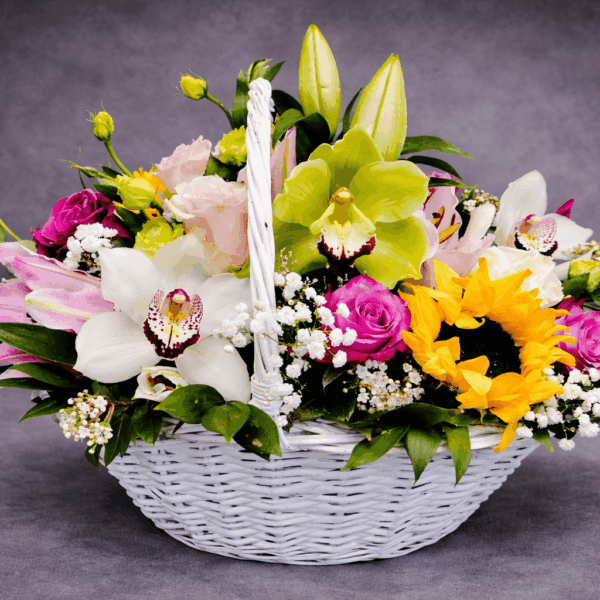 velika korpa sa cvećem ruže orhideje ljiljani dostava Beograd